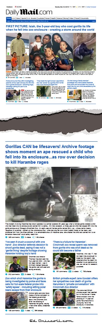 daily_mail_gorilla_nine_stories_5-31-16-1